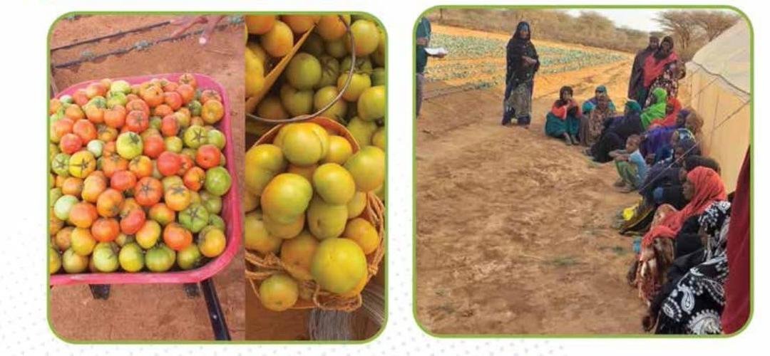 Farming Image 8