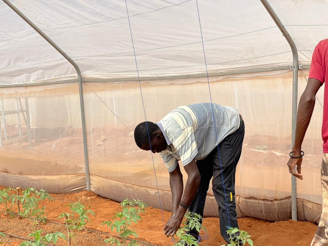 Farming Image 10